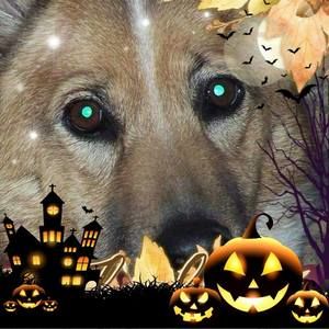 Meet your Posher, Kimberlee